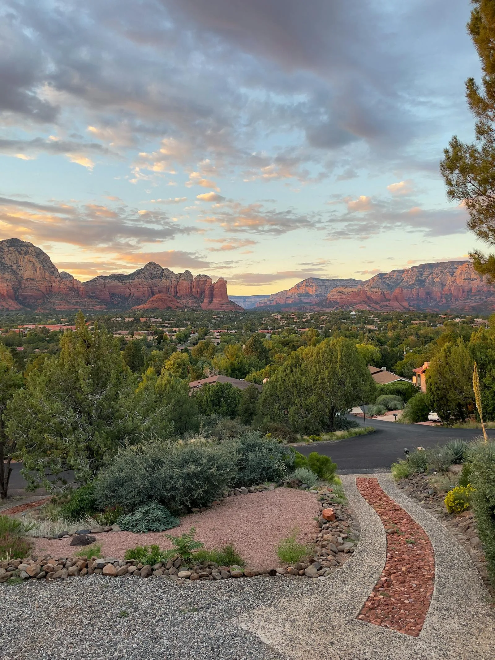Pricing Explained: Why East Valley Pooper Scooper Service Costs What It Costs