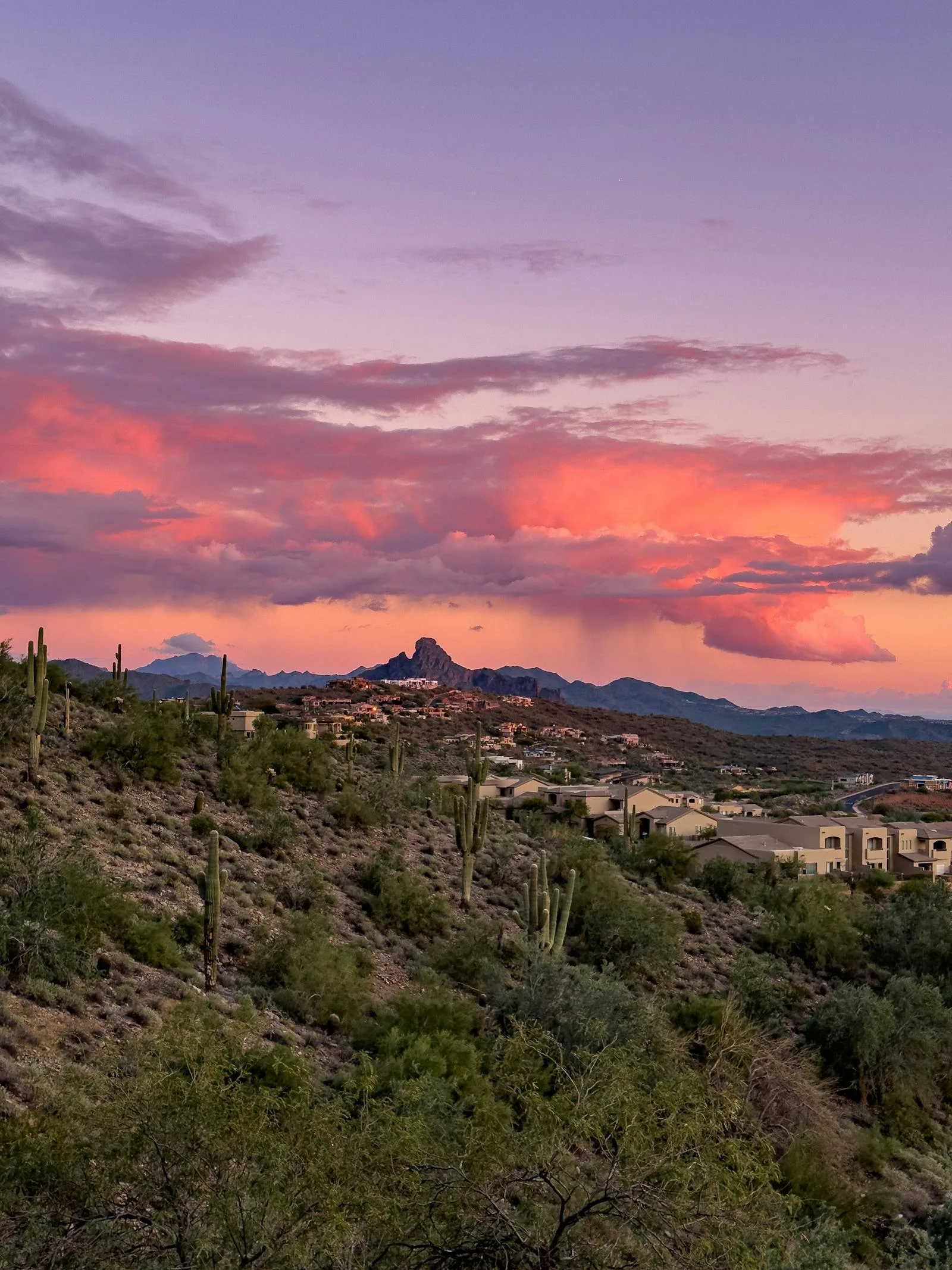 Queen Creek Subdivision Guide for Dog Owners