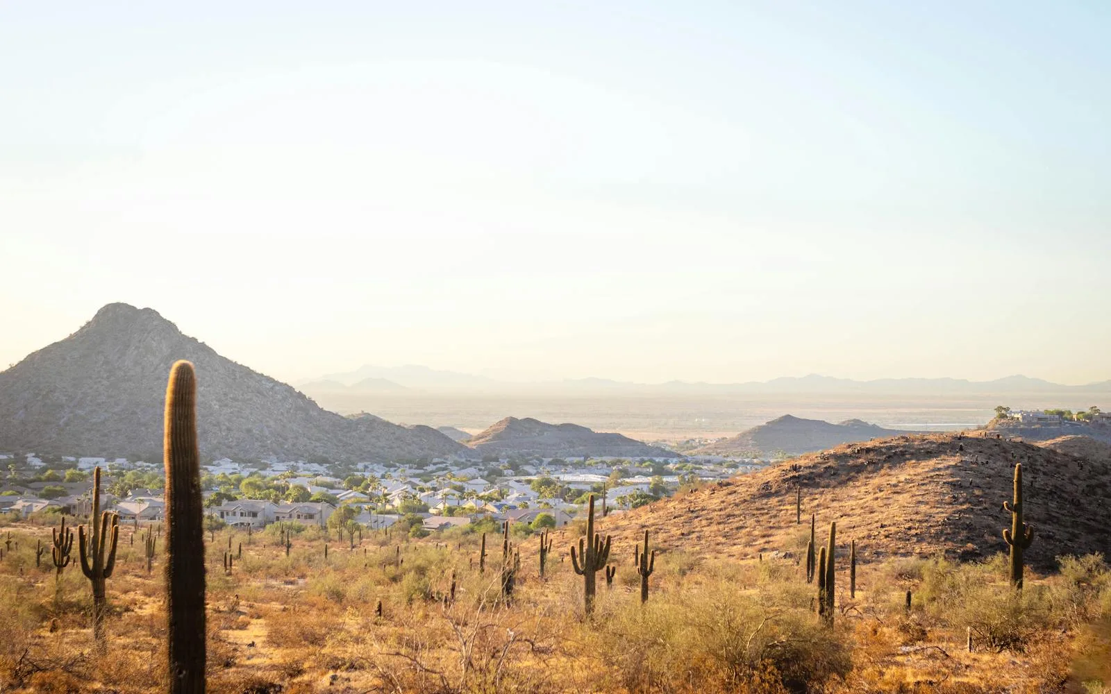 Aerial view of San Tan Valley, AZ — dog poop removal for new-build neighborhoods and larger lots
