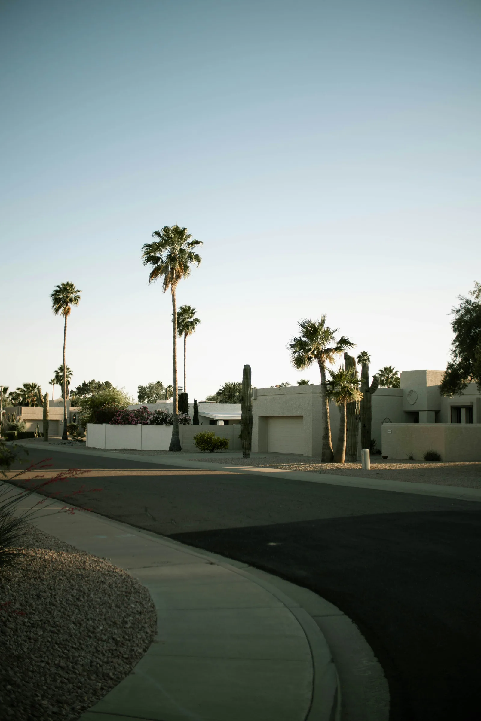 Local vs. National Pooper Scooper Service in the East Valley