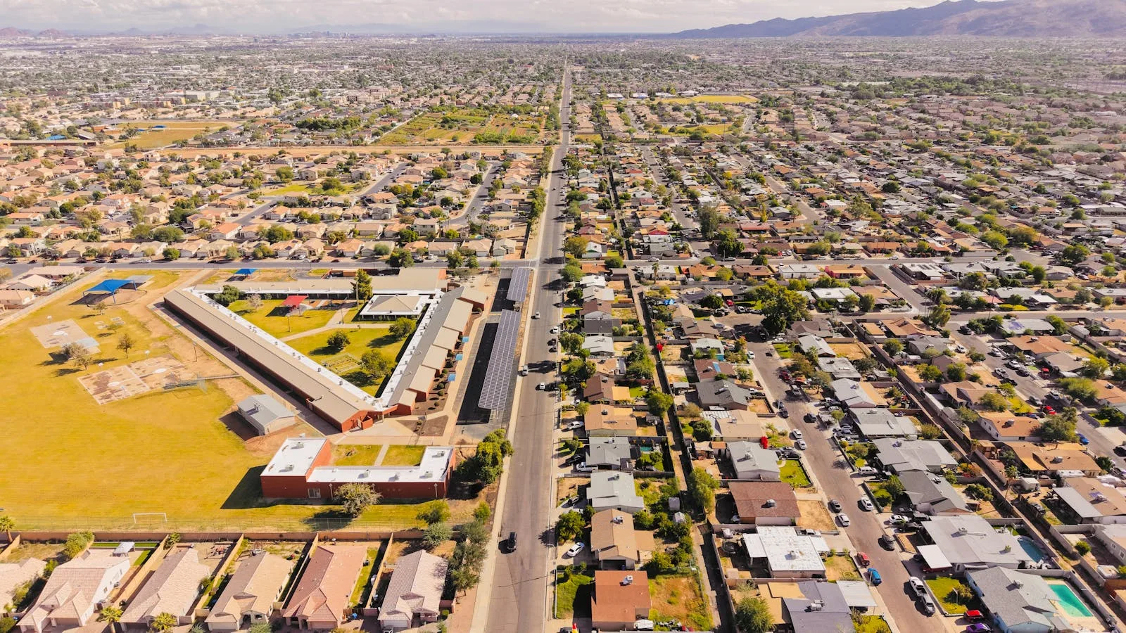 Weekly vs. Bi-Weekly Dog Poop Removal in Mesa and Gilbert