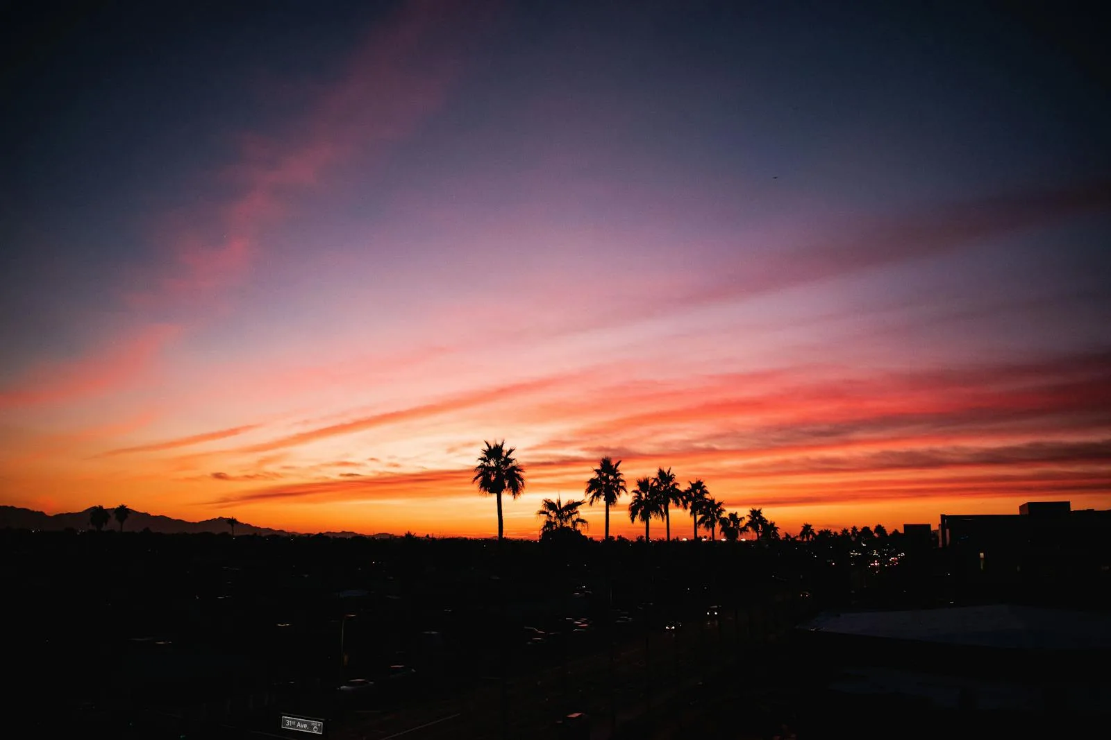 Chandler, AZ residential street — dog poop removal service for busy Chandler families